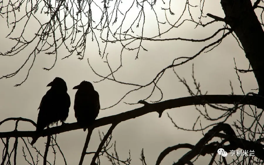 1627719682155999.jpg 17.jpg